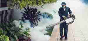 Pest Control Services