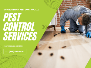 Pest Control Services
