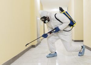 Pest control service in Piscataway NJ