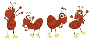 Ant control services