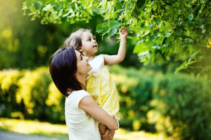 green pest control new jersey