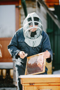 bees control New Jersey