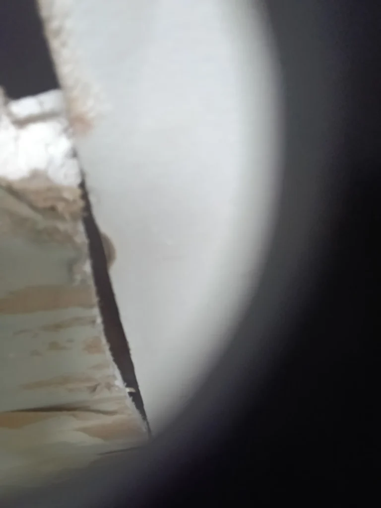 Interior wall seam with an open gap allowing rodent access between structural sections.