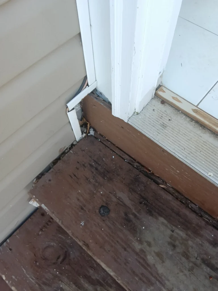 Exterior entry point discovered at the base of a door frame, where siding and trim failed to seal properly.