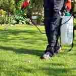 pest-control-services