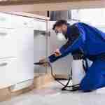 pest-control-services